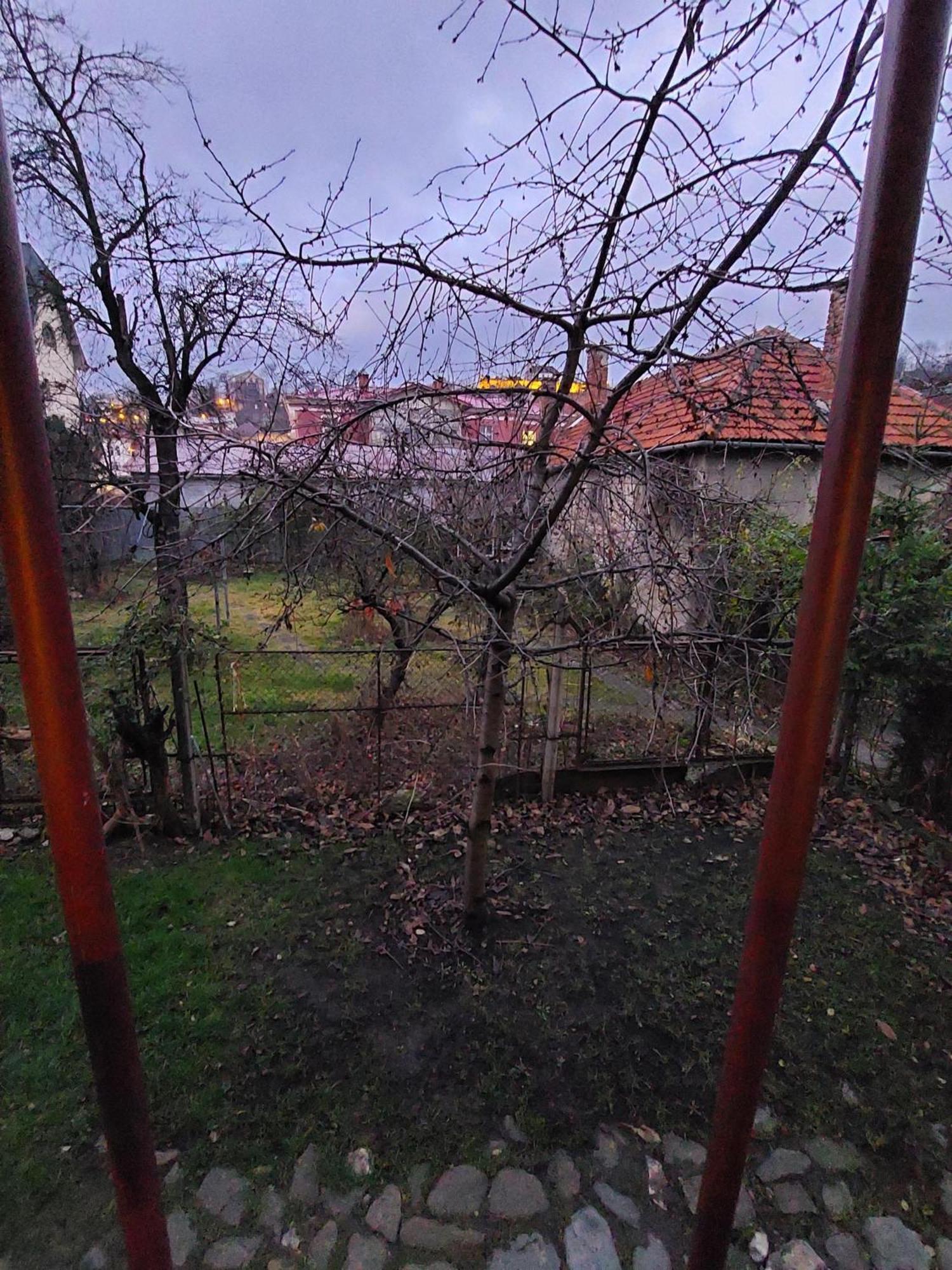 Mirmar - Blumenau Villa Braşov Exteriör bild
