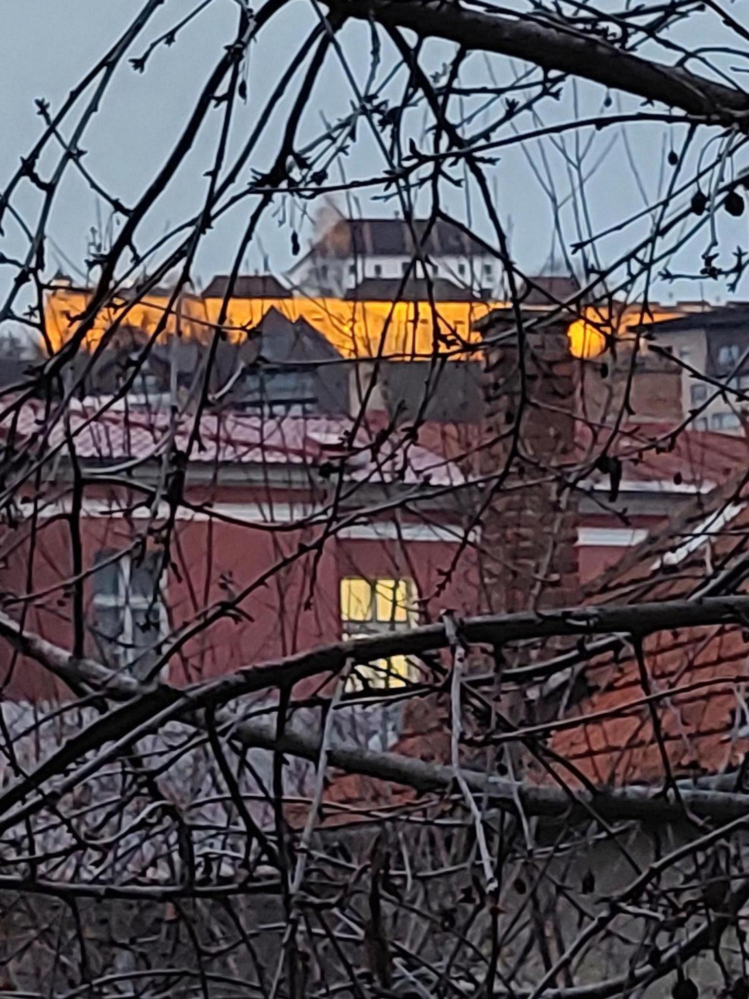 Mirmar - Blumenau Villa Braşov Exteriör bild